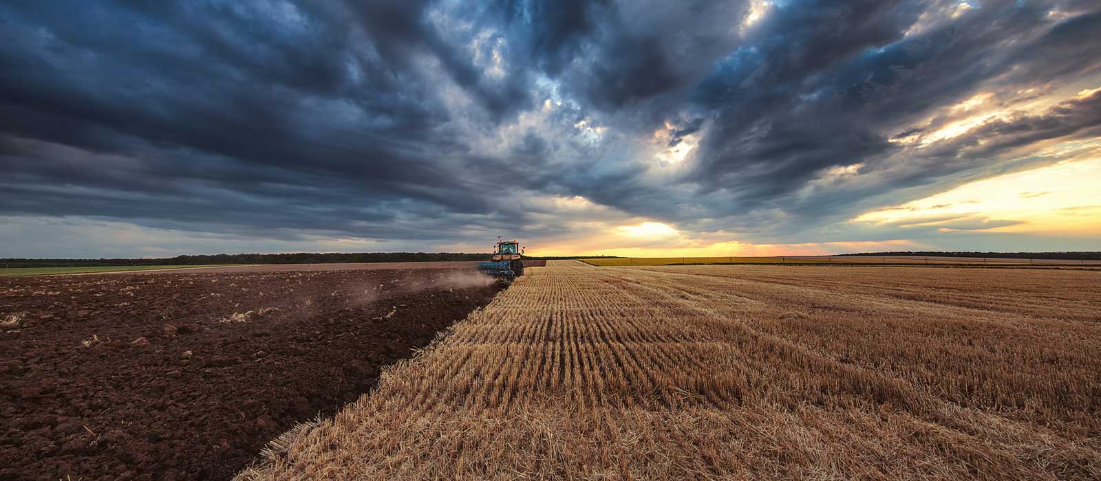 Tractor in a harvested field at sunset